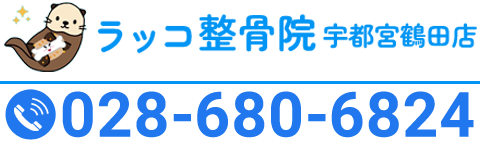 TEL